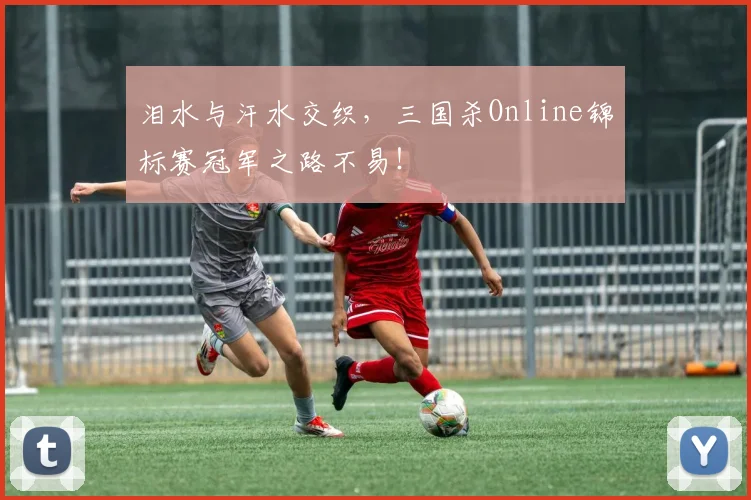 泪水与汗水交织，三国杀Online锦标赛冠军之路不易！