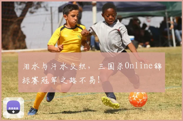泪水与汗水交织，三国杀Online锦标赛冠军之路不易！
